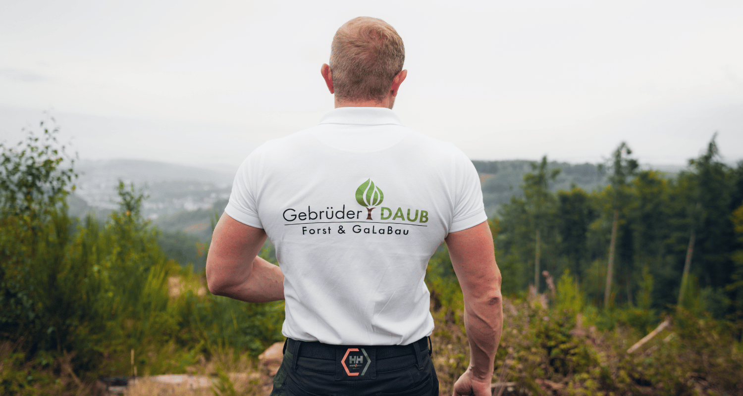Wald geerbt? Wir von Gebrüder Daub helfen gerne bei der Bestandsaufnahme!
