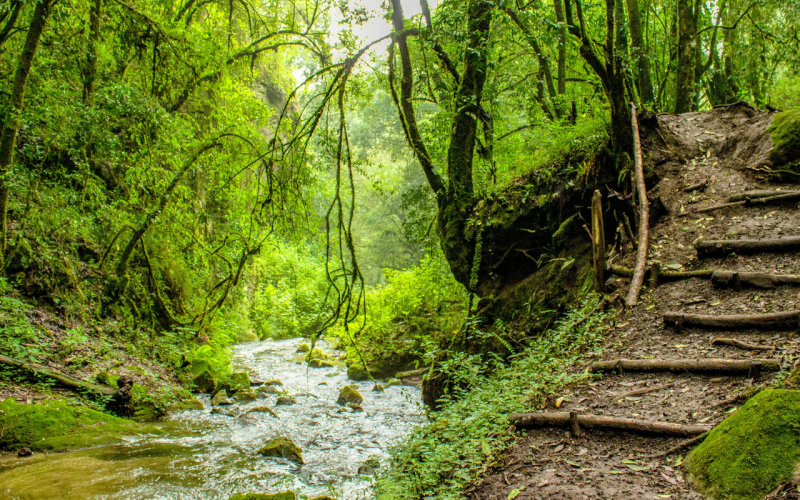 gebrueder-daub-beitrag-angst-vor-natur-2