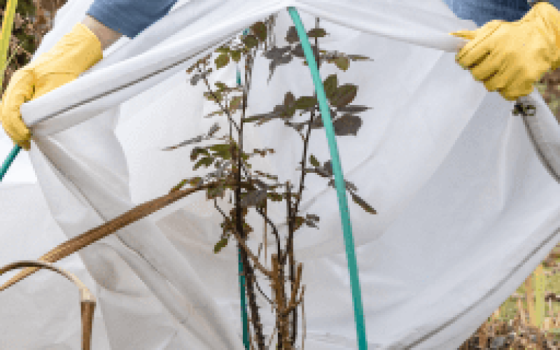 gebrueder-daub-beitrag-brennholz-gala-winterfest