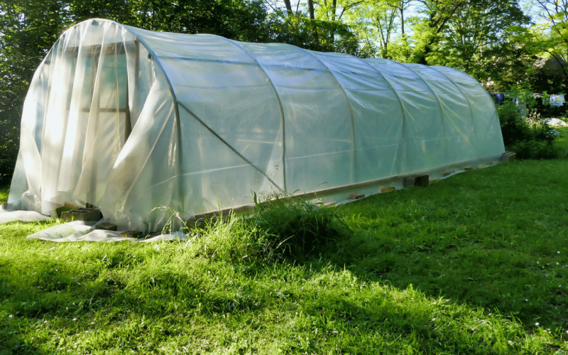 gebrueder-daub-beitrag-folientunnel-1