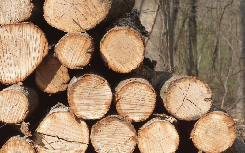 gebrueder-daub-beitrag-heizen-mit-holz-1