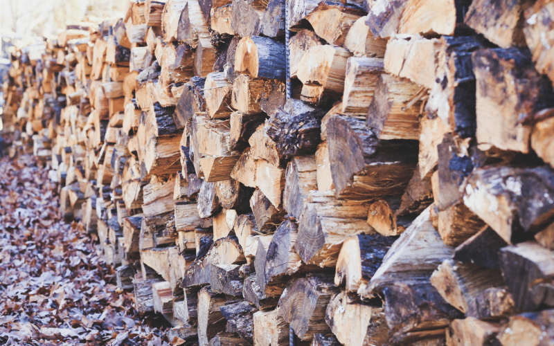 gebrueder-daub-beitrag-heizen-mit-holz-2025-2