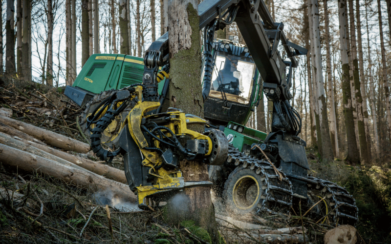 gebrueder-daub-beitrag-holz-verkaufen-2026-2