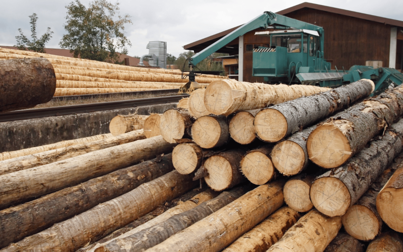 gebrueder-daub-beitrag-holzpreise-2025-1