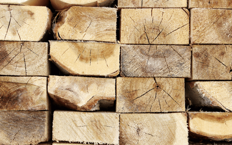 gebrueder-daub-beitrag-holzpreise-2026-2