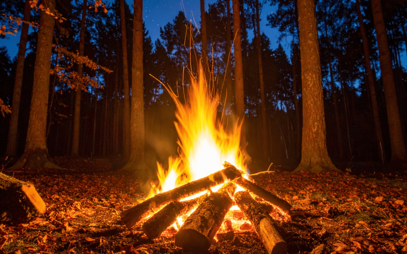 gebrueder-daub-beitrag-nasses-holz-norden-1