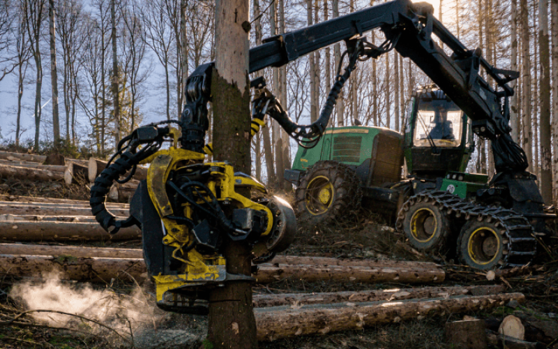 gebrueder-daub-beitrag-waldbauer