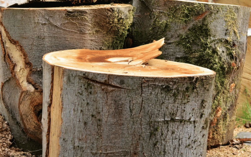 gebrueder-daub-holzpreise
