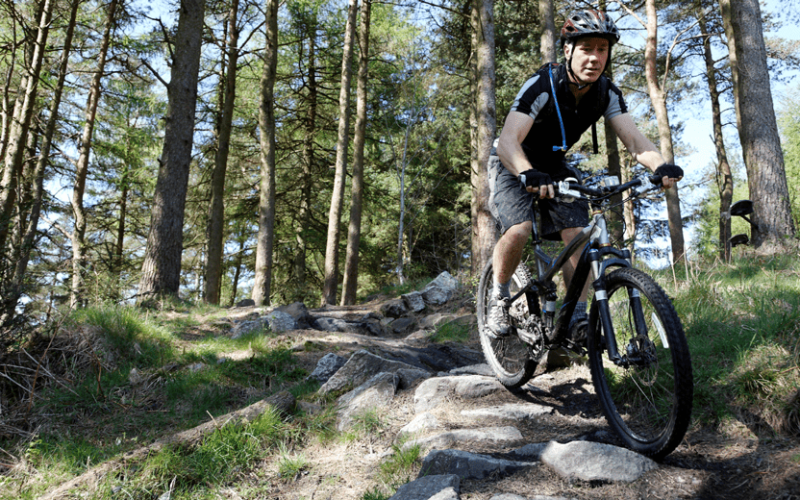 gebrueder-daub-news-mountainbike